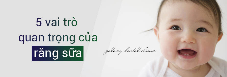 https://bacsynhakhoa.vn/img/galaxy-dental-5-vai-tro-quan-trong-cua-rang-sua.jpg