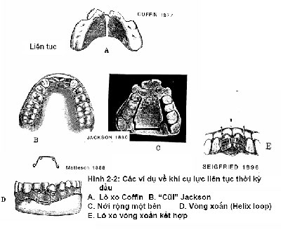 https://bacsynhakhoa.vn/img/lich-su-chinh-nha02.jpg